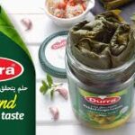 GRAPE LEAVES 600 G